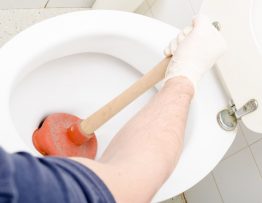 unblock a toilet