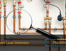 water leak detection services