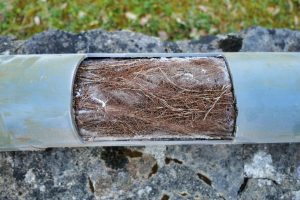 Root killer for drains