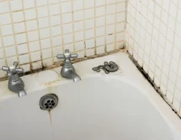 How to stop mould in bathroom