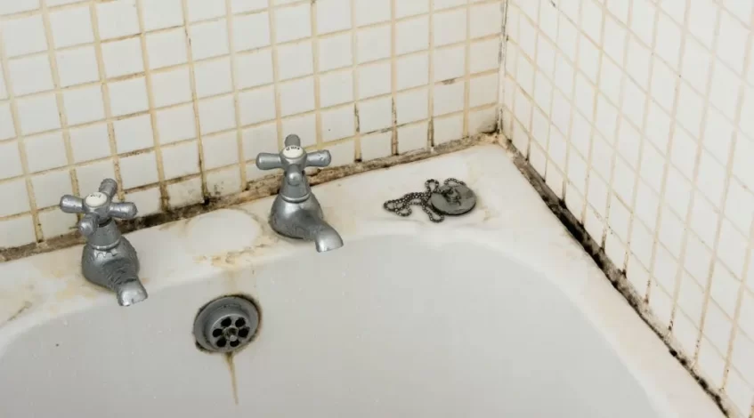 How to stop mould in bathroom