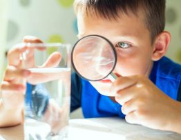 is sunshine coast tap water safe to drink