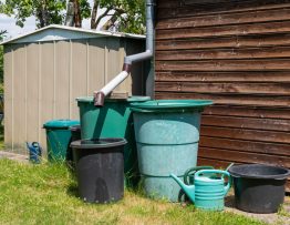 plumbing and drainage for backyard shed